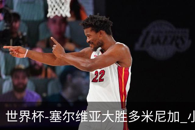 世界杯-塞尔维亚大胜多米尼加 小组第二进八强