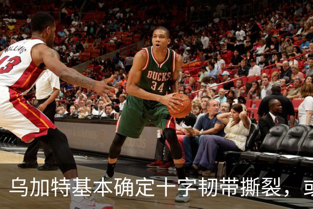 乌加特基本确定十字韧带撕裂，或迫使曼联买人！若伤缺一年可获赔500万